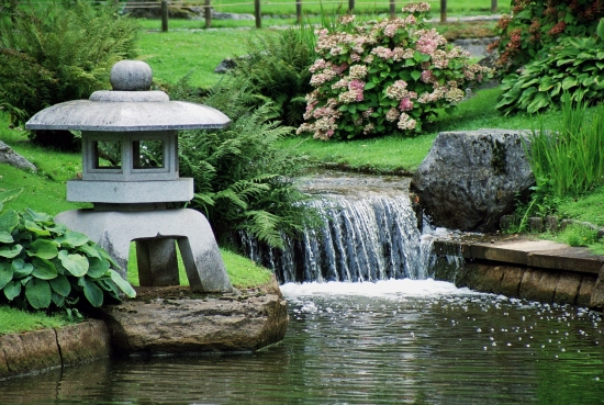 photos zen