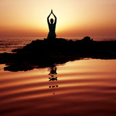 photos zen